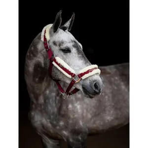 Ensemble licol et longe pour cheval Equestrian Stockholm image-1