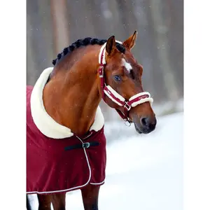 Ensemble licol et longe pour cheval Equestrian Stockholm image-2