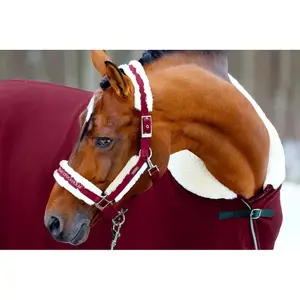 Ensemble licol et longe pour cheval Equestrian Stockholm image-3
