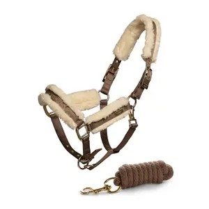 Halster och ledstång för häst Equestrian Stockholm image-0