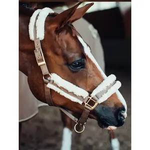 Halster och ledstång för häst Equestrian Stockholm image-1