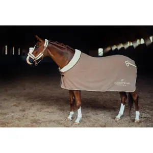 Halster och ledstång för häst Equestrian Stockholm image-3