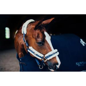 Set aus Halfter und Longiergurt für Pferde Equestrian Stockholm image-4