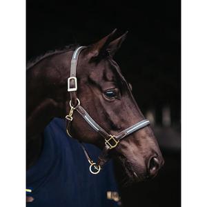 product/e/q/equestrian-stockholm-7340192807494-navy-2.jpg