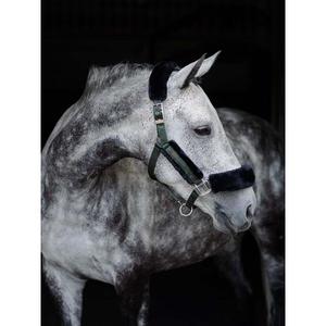 Juego de cabestro y correa para caballos Equestrian Stockholm image-1