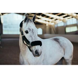 Juego de cabestro y correa para caballos Equestrian Stockholm image-3