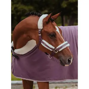 Σέλλα και λουρί για άλογο Equestrian Stockholm image-1