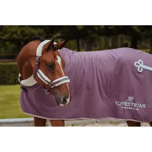 Σέλλα και λουρί για άλογο Equestrian Stockholm image-2