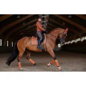 Σαμάρι ιππασίας Equestrian Stockholm image-2