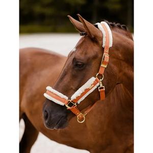 Juego de cabestro y correa para caballos Equestrian Stockholm image-1