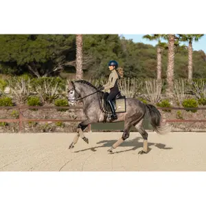 Polo strips for horses Equestrian Stockholm image-2