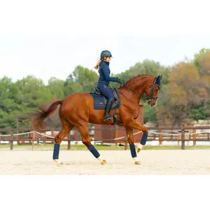 Λωρίδες πόλο για άλογα Equestrian Stockholm image-4