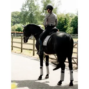 Λωρίδες πόλο για άλογα Equestrian Stockholm image-2