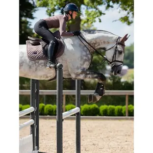 Χαλάκι CSO Equestrian Stockholm image-1