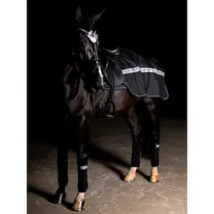 Κάλυμμα για άλογο Equestrian Stockholm Reflective Exercise image-1