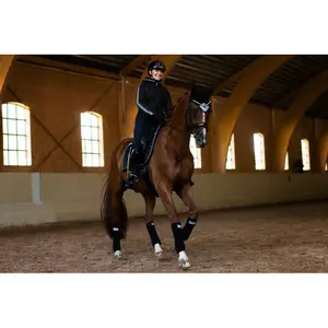 Βραχύς μπεζές για άλογο Equestrian Stockholm image-2