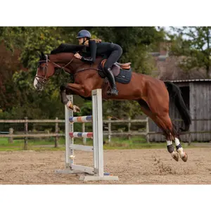 Mostrar tapetes de saltos Equestrian Stockholm image-1