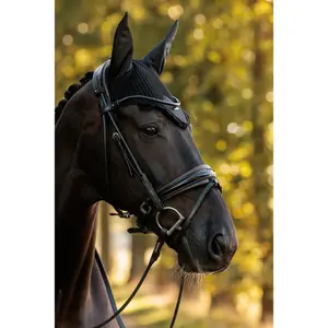 Καπέλο για άλογο Equestrian Stockholm image-2