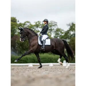 Σαμάρι ιππασίας Equestrian Stockholm Modern image-2