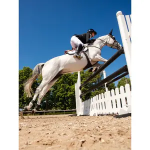 Anatomical horse leg wraps Equestrian Stockholm image-3