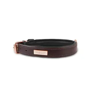 Hondenhalsband Equestrian Stockholm Clean image-0