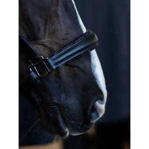 product/e/q/equestrian-stockholm-7340206423597-black-edition-3.jpg