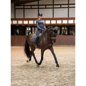 Langarm-Funktionsunterwäsche für Damen Reiten Equestrian Stockholm Dynamic image-4