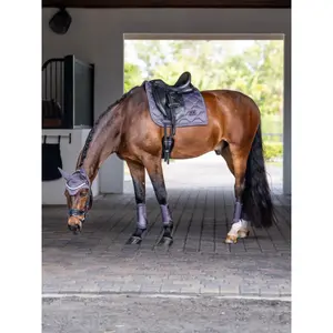 Κλειστές γκέτες για άλογα Equestrian Stockholm Classic Mesh image-2