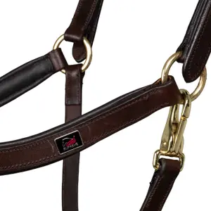 Hunting collar for horse Equestro image-2