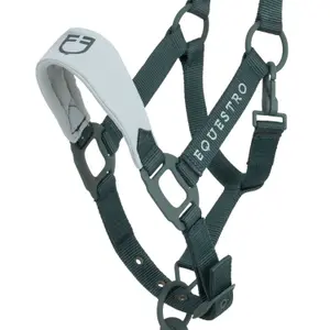 Halster en touwset voor paarden Equestro High Performance image-1
