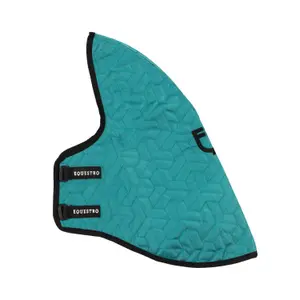 Cubre caballo de palo Equestro image-0