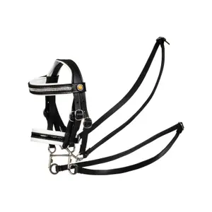 Bridle for Hobby Horse Equestro image-0