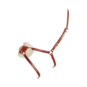 Trense mit gekreuztem Nasenriemen Equestro Messicana image-0