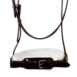 Cabeçada Equestro Dressage+ image-5