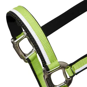 Nylonowy kantar dla konia Equestro White Trim image-1