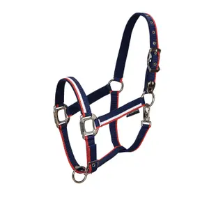 Nagłówek dla konia z polarowym wyściółką i karabińczykiem Equestro White Trim image-0