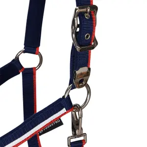 Nagłówek dla konia z polarowym wyściółką i karabińczykiem Equestro White Trim image-2