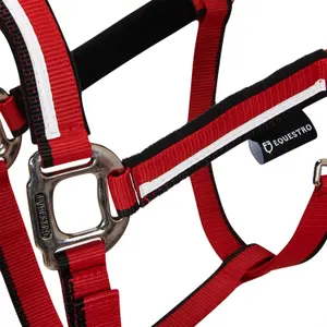 Nylonowy kantar dla konia Equestro White Trim image-1