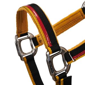 Nylon halster en longe voor paard in nylon Equestro image-2