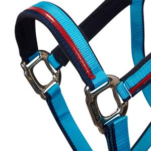 Nylon halster en longe voor paard in nylon Equestro image-4