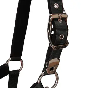 Cabestro para caballo con longitud Equestro Modello Shiny Fittings image-4