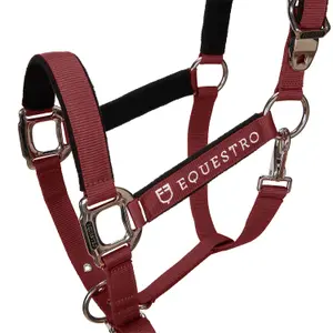 Cabestro para caballo con longitud Equestro Modello Shiny Fittings image-1