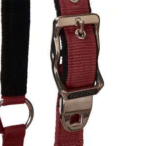Cabestro para caballo con longitud Equestro Modello Shiny Fittings image-2