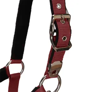 Cabestro para caballo con longitud Equestro Modello Shiny Fittings image-4