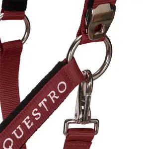 Cabestro para caballo con longitud Equestro Modello Shiny Fittings image-5