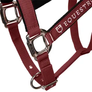 Cabestro para caballo con longitud Equestro Modello Shiny Fittings image-6