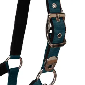 Cabestro para caballo con longitud Equestro Modello Shiny Fittings image-4
