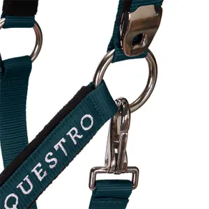 Cabestro para caballo con longitud Equestro Modello Shiny Fittings image-5