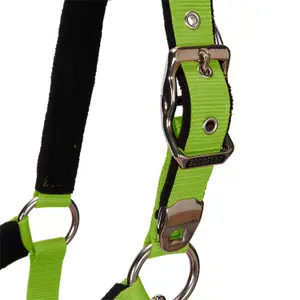 Cabestro para caballo con longitud Equestro Modello Shiny Fittings image-4