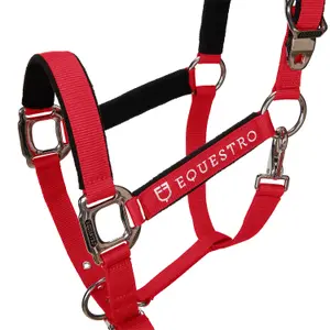 Cabestro para caballo con longitud Equestro Modello Shiny Fittings image-1
